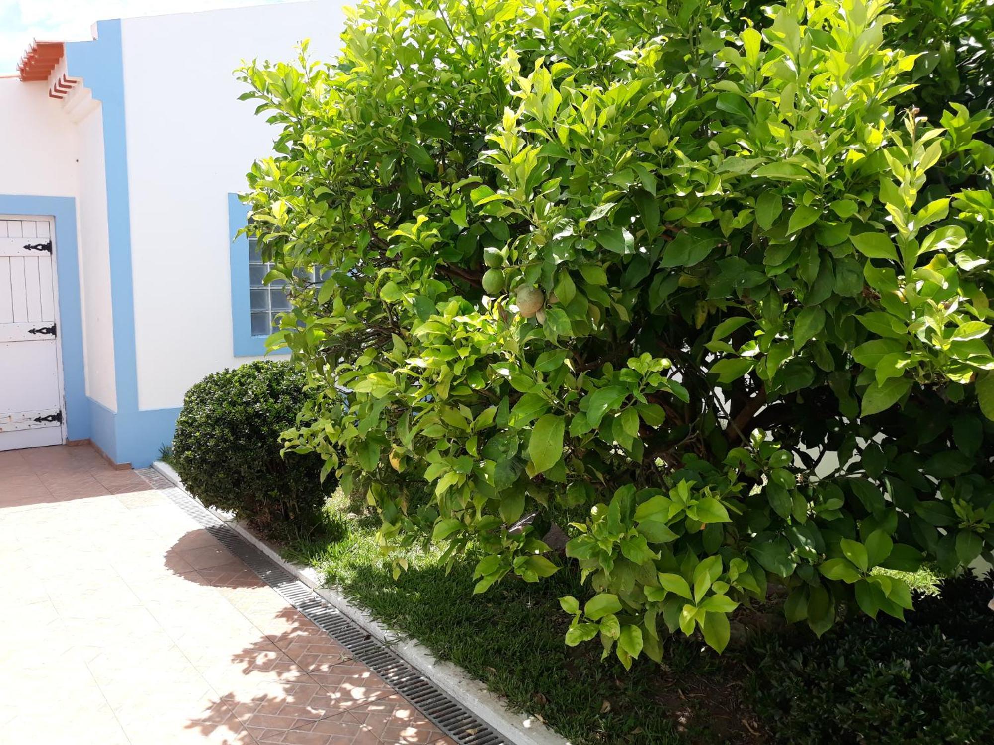 Refugio de São Luis Exterior foto